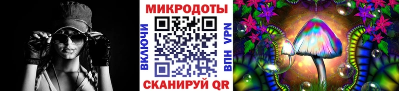Галлюциногенные грибы Psilocybe  ОМГ ОМГ вход  Анадырь  цены  