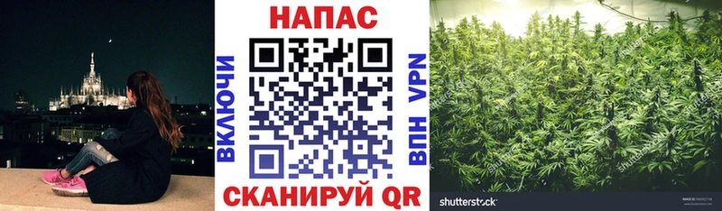 Марихуана гибрид  OMG вход  Анадырь 